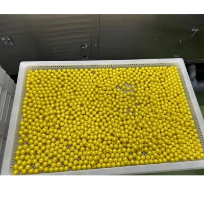 softgel drying trays softgel drying trays